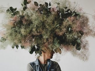 Mental Health and Well-Being