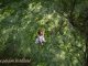 Reflective person in nature